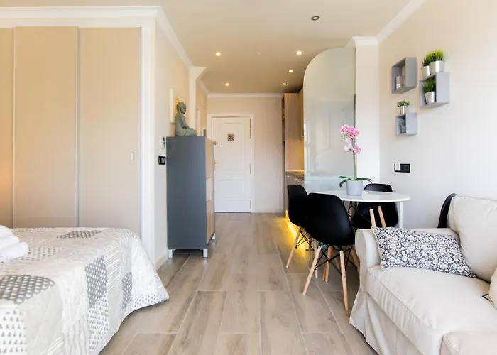 Cozy Studio In Paraiso Del Sur - Tenesol Rentals